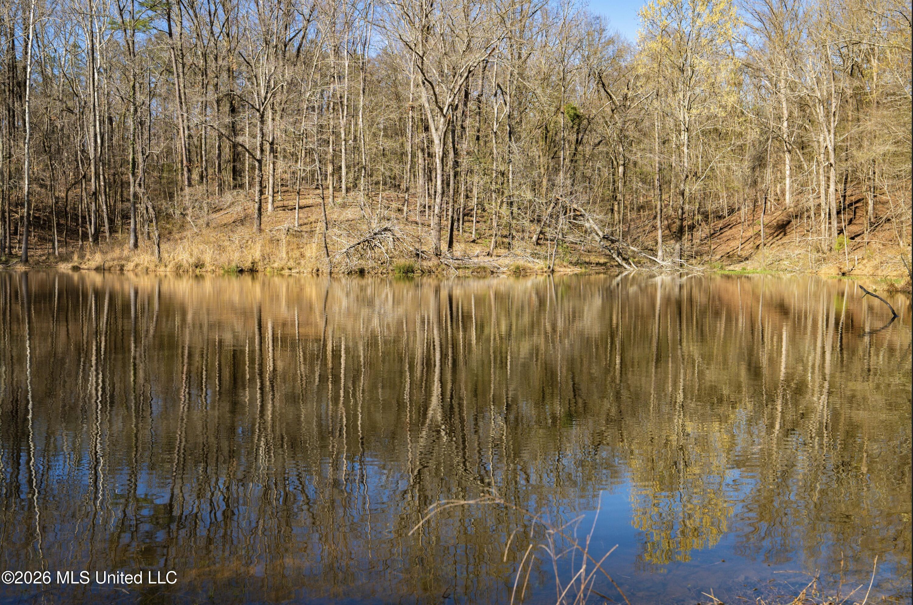 Shook Road Cascilla, MS 38920 - Photo 7 of 15 7