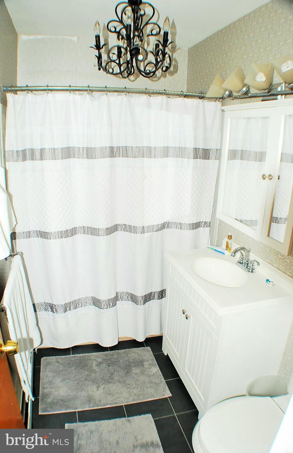 7995 Summit Point Road Charles Town, WV 25414 - Photo 20 of 30 Bath (Master)
