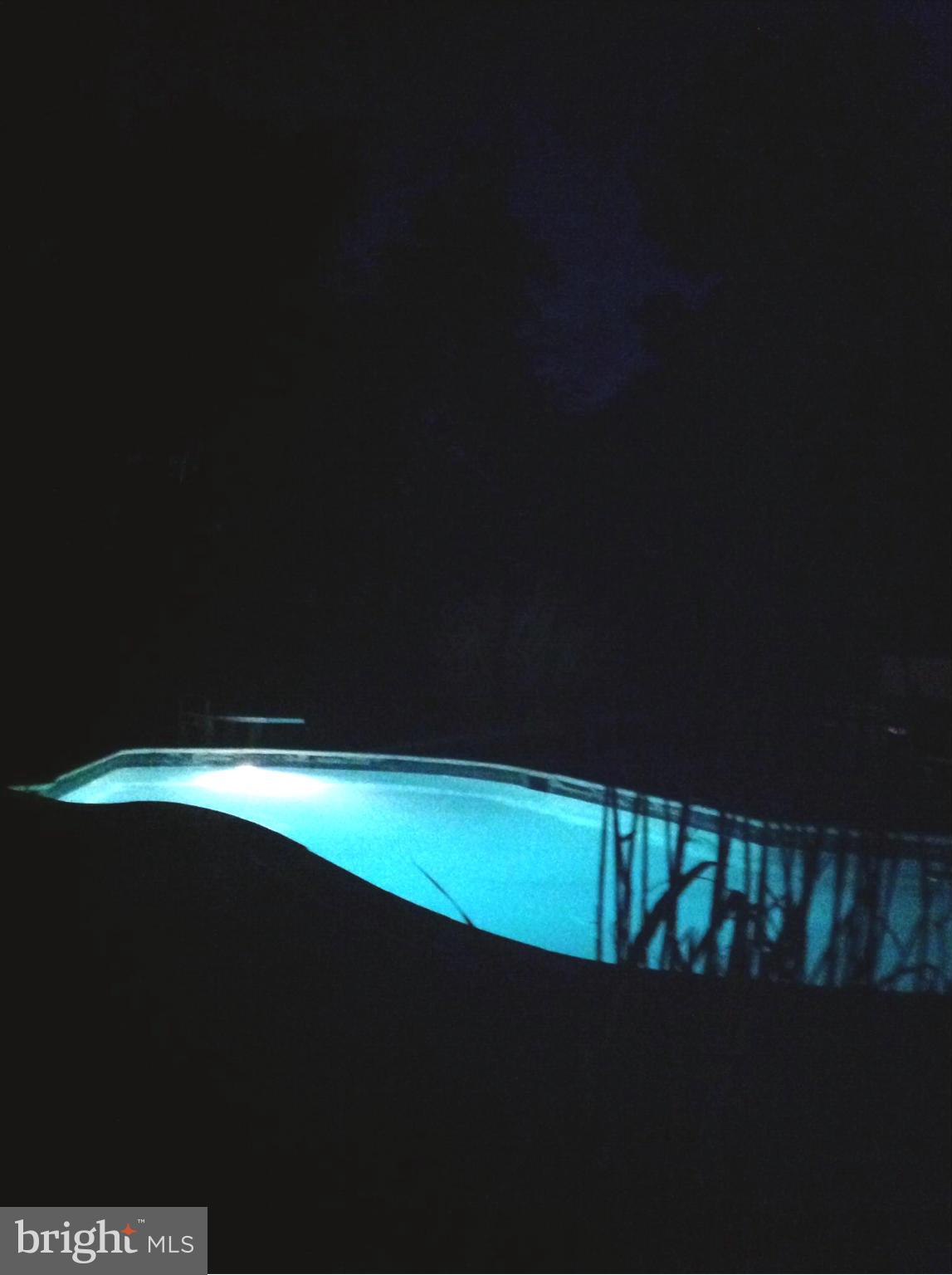 7995 Summit Point Road Charles Town, WV 25414 - Photo 30 of 30 Pool at night