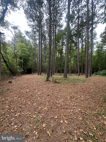 $345,000 | 0 Burbage Road, Frankford, DE 19945