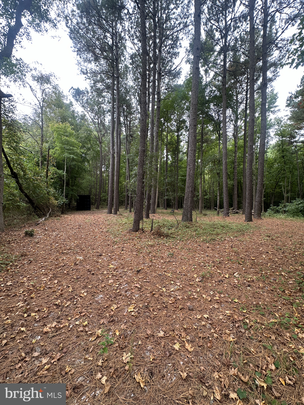 0 Burbage Road Frankford, DE 19945 - Photo 3 of 4