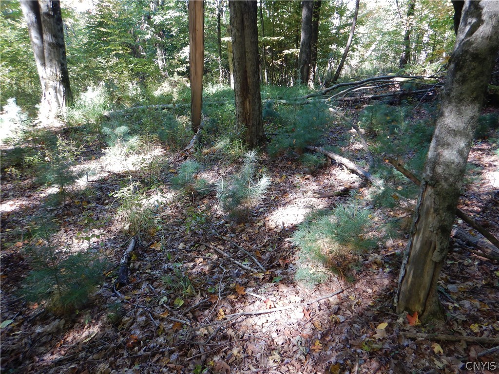 Phillips Road Windsor, NY 13865 - Photo 16 of 43 Gallery Image 16
