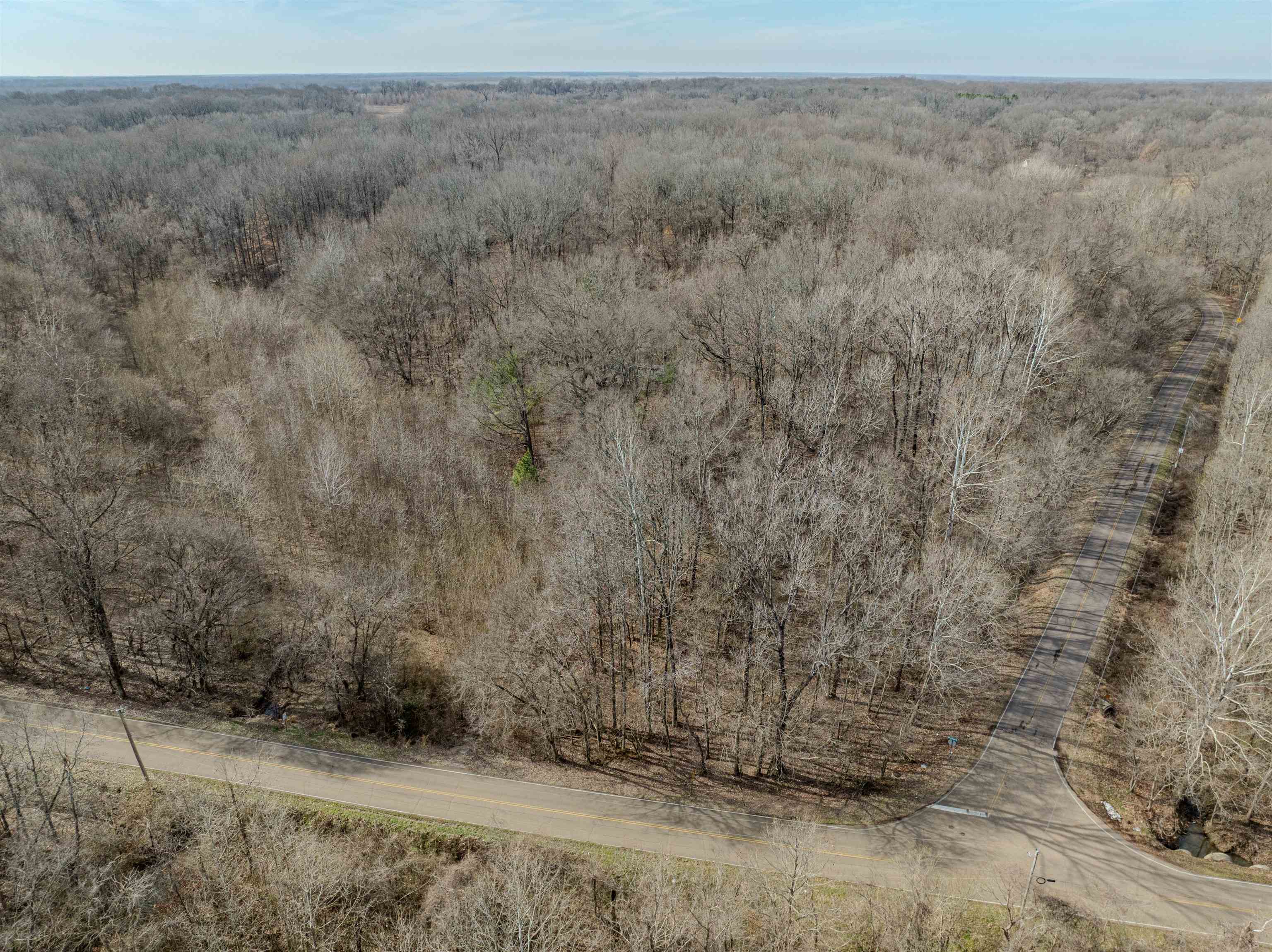 5155 Benjestown Road Memphis, TN 38127 - Photo 24 of 36 a view of a dry yard