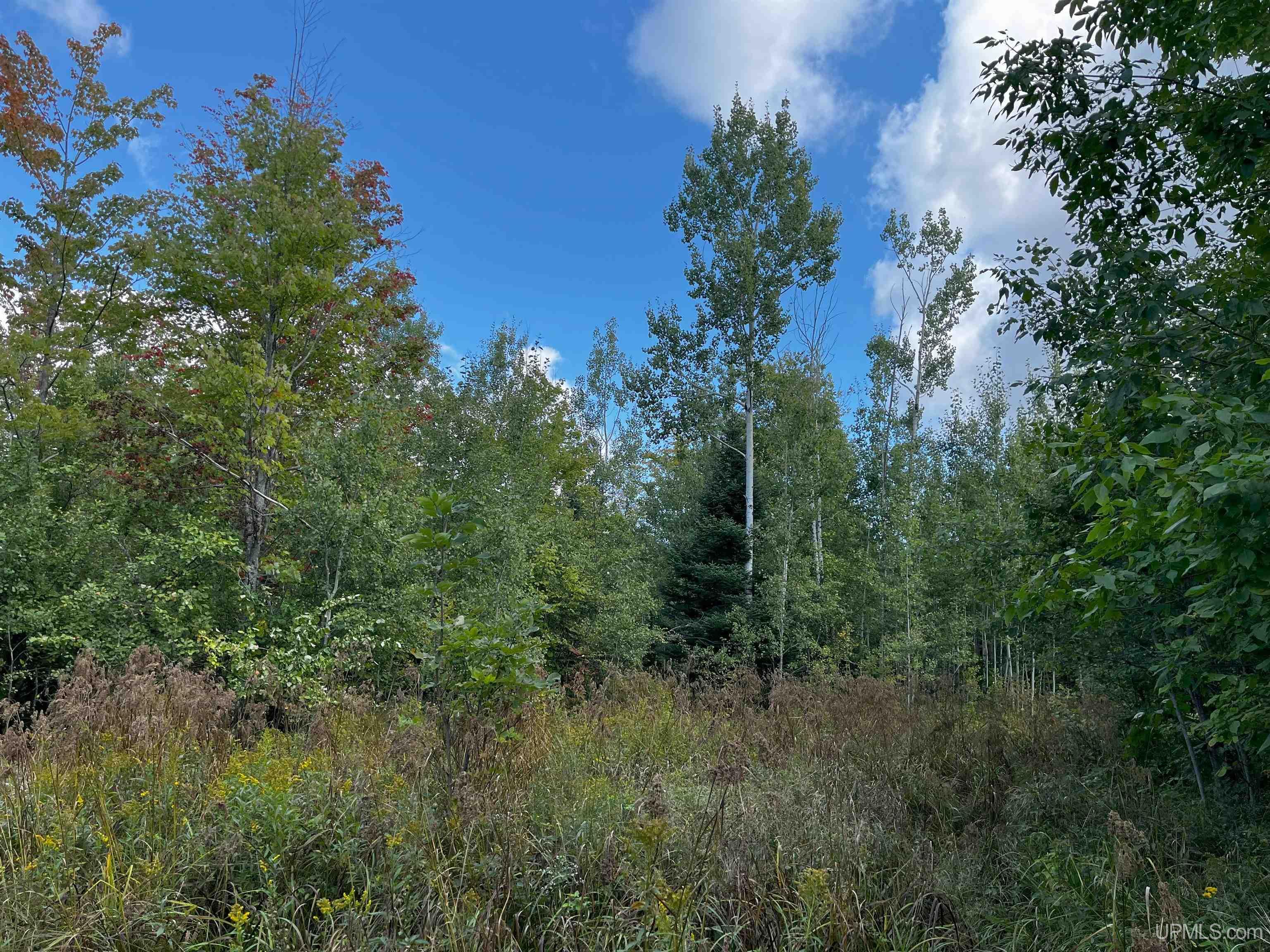 42587 Old Rink Road Toivola, MI 49965 - Photo 12 of 16 Gallery Image 12