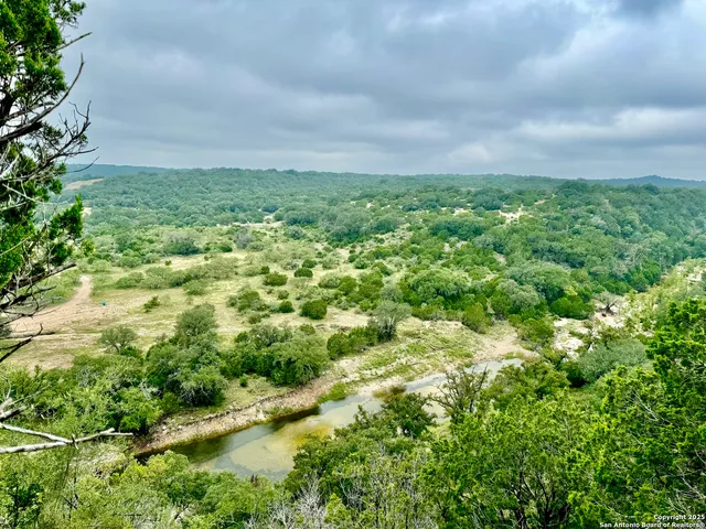 a view of a big yard with lots of green space