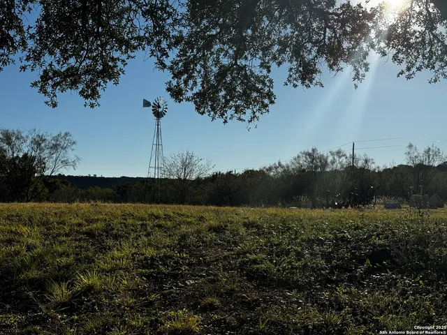a view of yard with trees