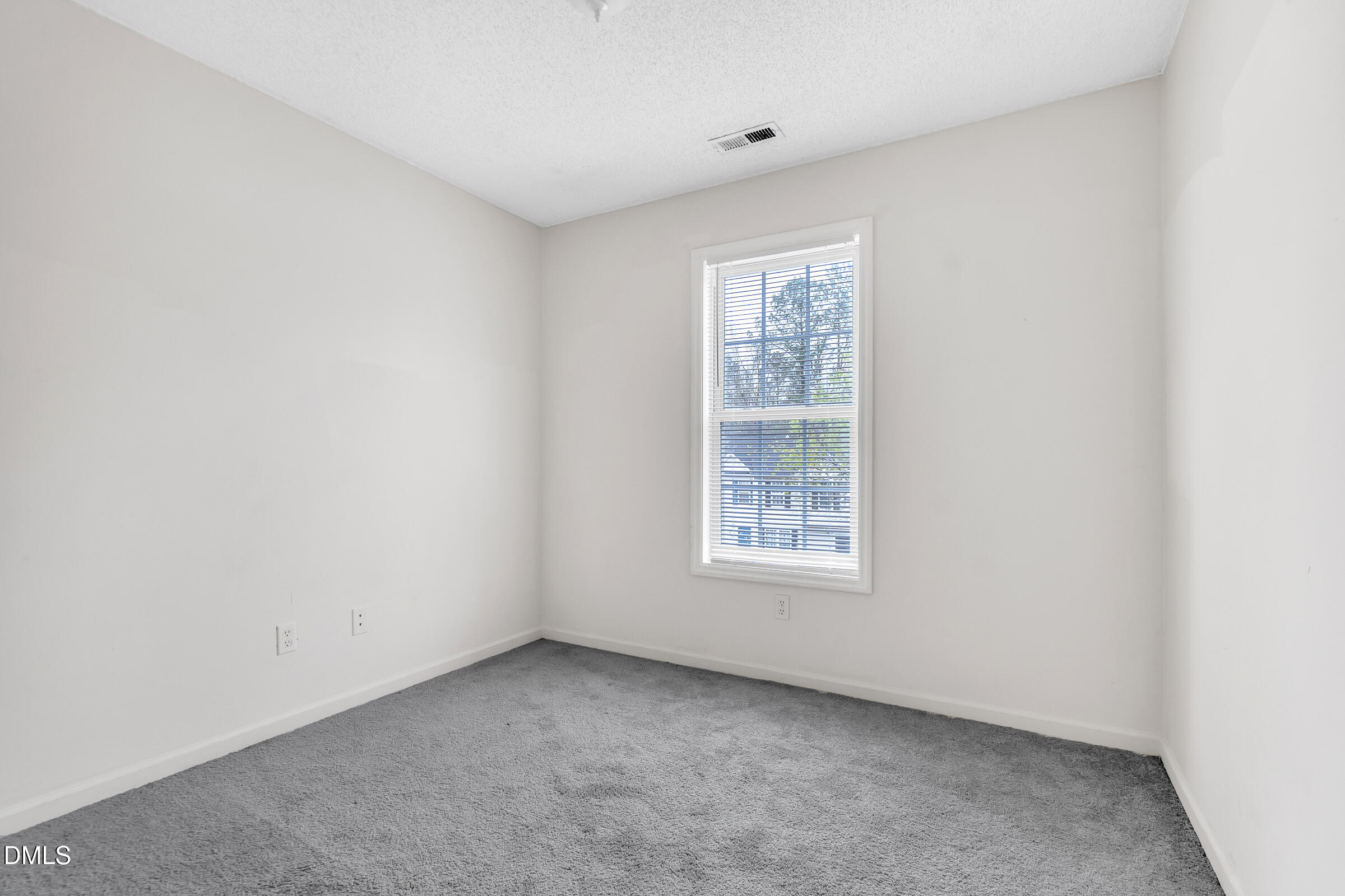 2232 Violet Bluff Court Raleigh, NC 27610 - Photo 12 of 19 DSC03492