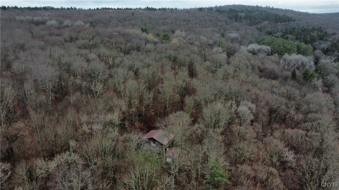 521 & 523 Hyer Road North Pitcher, NY 13124 - Photo 12 of 44