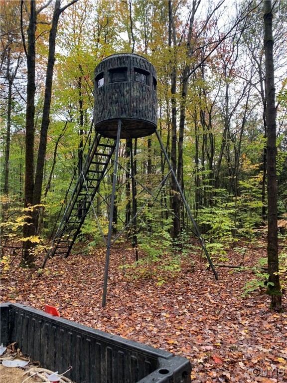 521 & 523 Hyer Road North Pitcher, NY 13124 - Photo 38 of 44