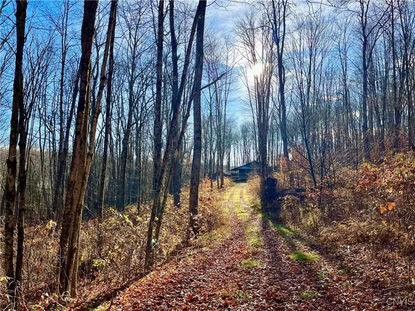 $289,900 | 521 & 523 Hyer Road, North Pitcher, NY 13124