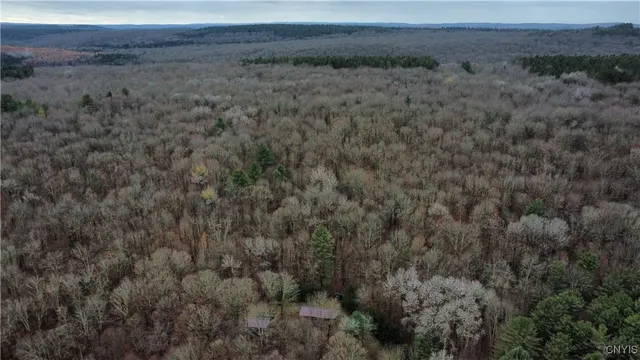 $289,900 | 521 & 523 Hyer Road, North Pitcher, NY 13124