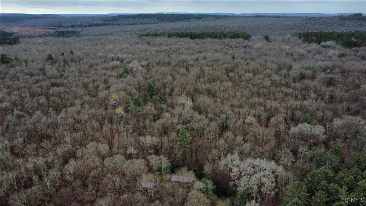 521 & 523 Hyer Road North Pitcher, NY 13124 - Photo 40 of 44