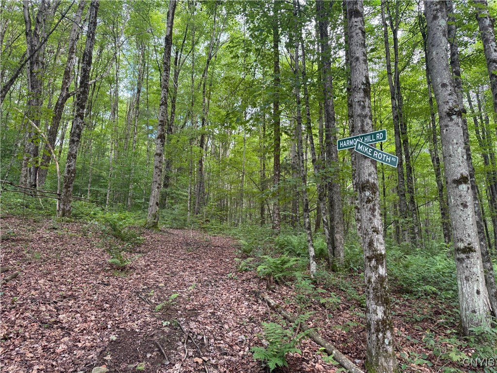 521 & 523 Hyer Road North Pitcher, NY 13124 - Photo 42 of 44