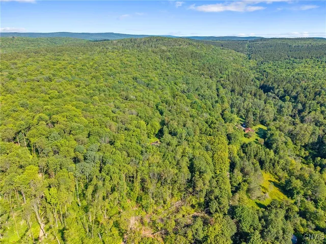 $289,900 | 521 & 523 Hyer Road, North Pitcher, NY 13124