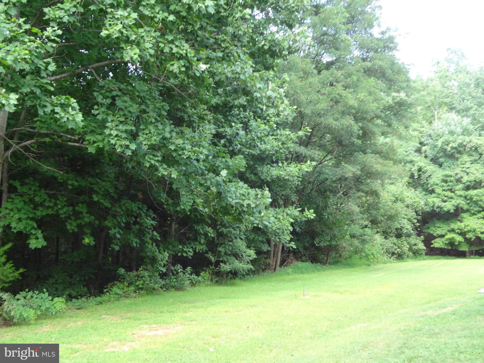 12705 Archery Road Fredericksburg, VA 22407 - Photo 17 of 20 Rear View