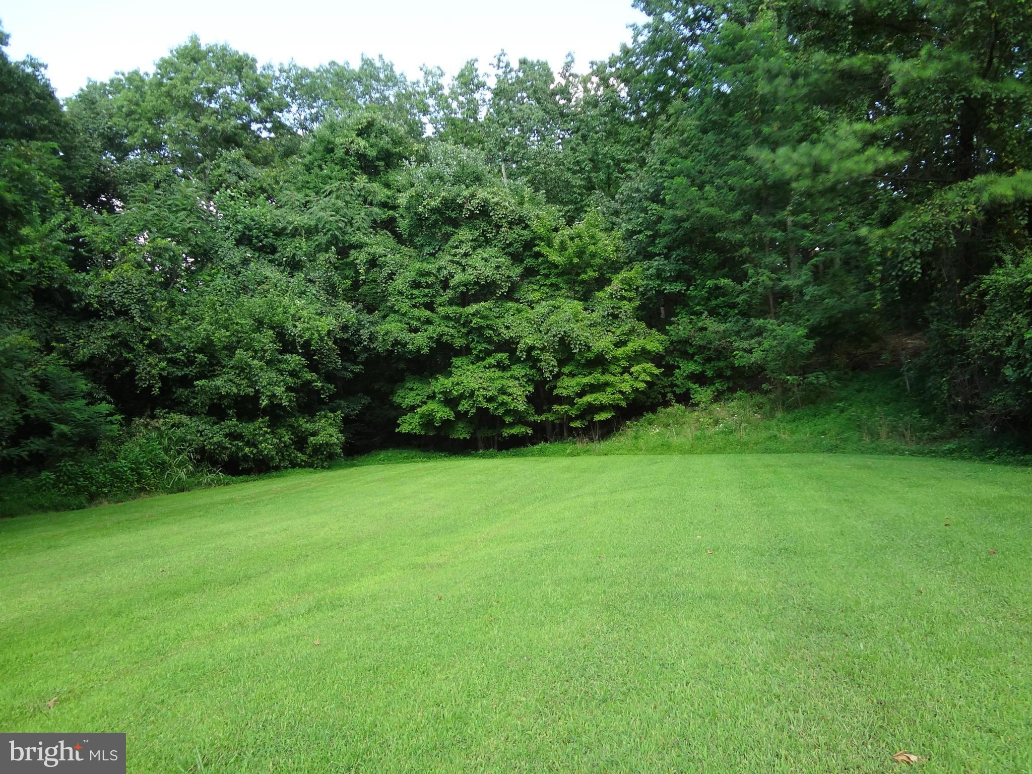 12705 Archery Road Fredericksburg, VA 22407 - Photo 18 of 20 View Rear Yard