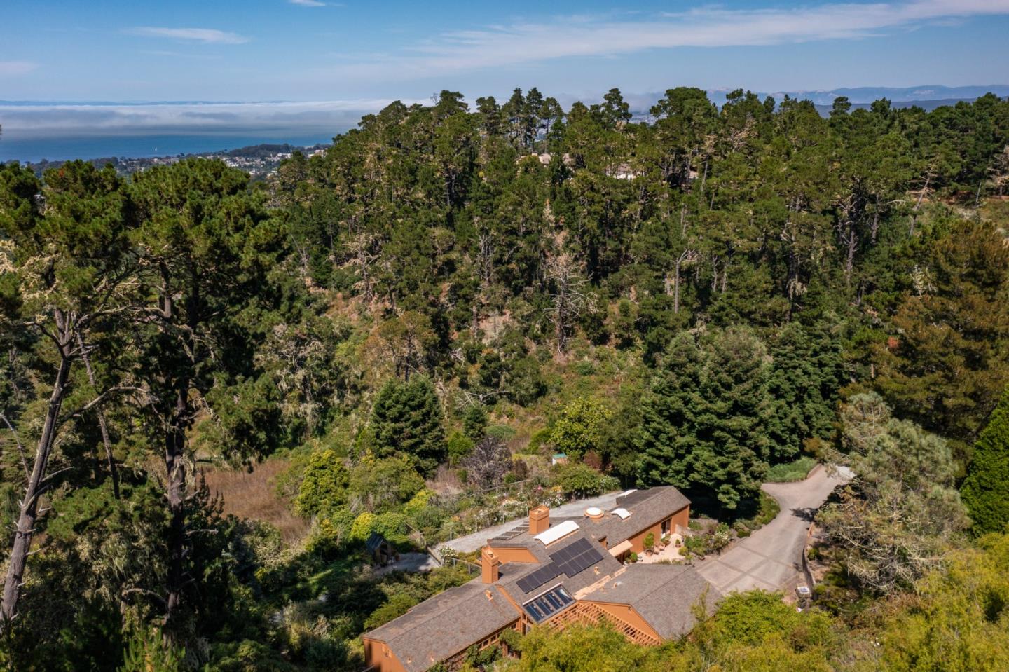 540 Aguajito Road Carmel, CA 93923 - Photo 4 of 32 a view of a bunch of trees and bushes