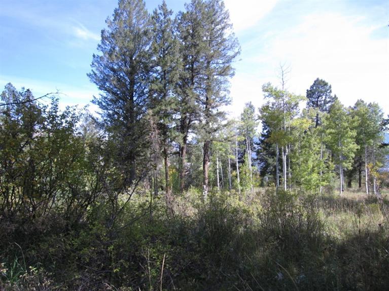 35 Red Draw Edwards, CO 81632 - Photo 2 of 6 a view of a forest with trees in the background