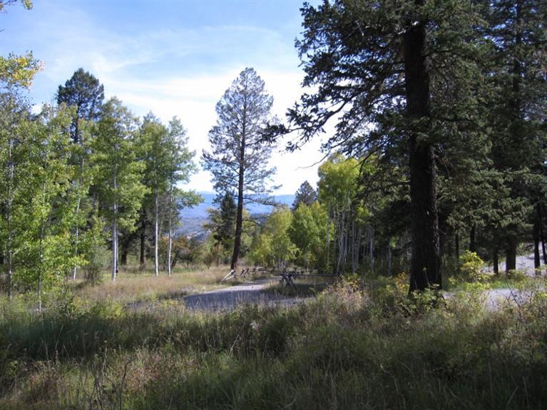 35 Red Draw Edwards, CO 81632 - Photo 3 of 6 a view of outdoor space and yard