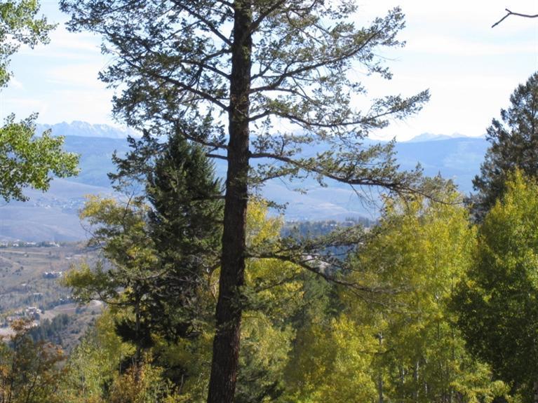 35 Red Draw Edwards, CO 81632 - Photo 4 of 6 a view of a tree in a yard
