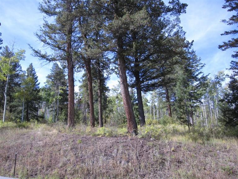 35 Red Draw Edwards, CO 81632 - Photo 5 of 6 a view of a forest filled with trees
