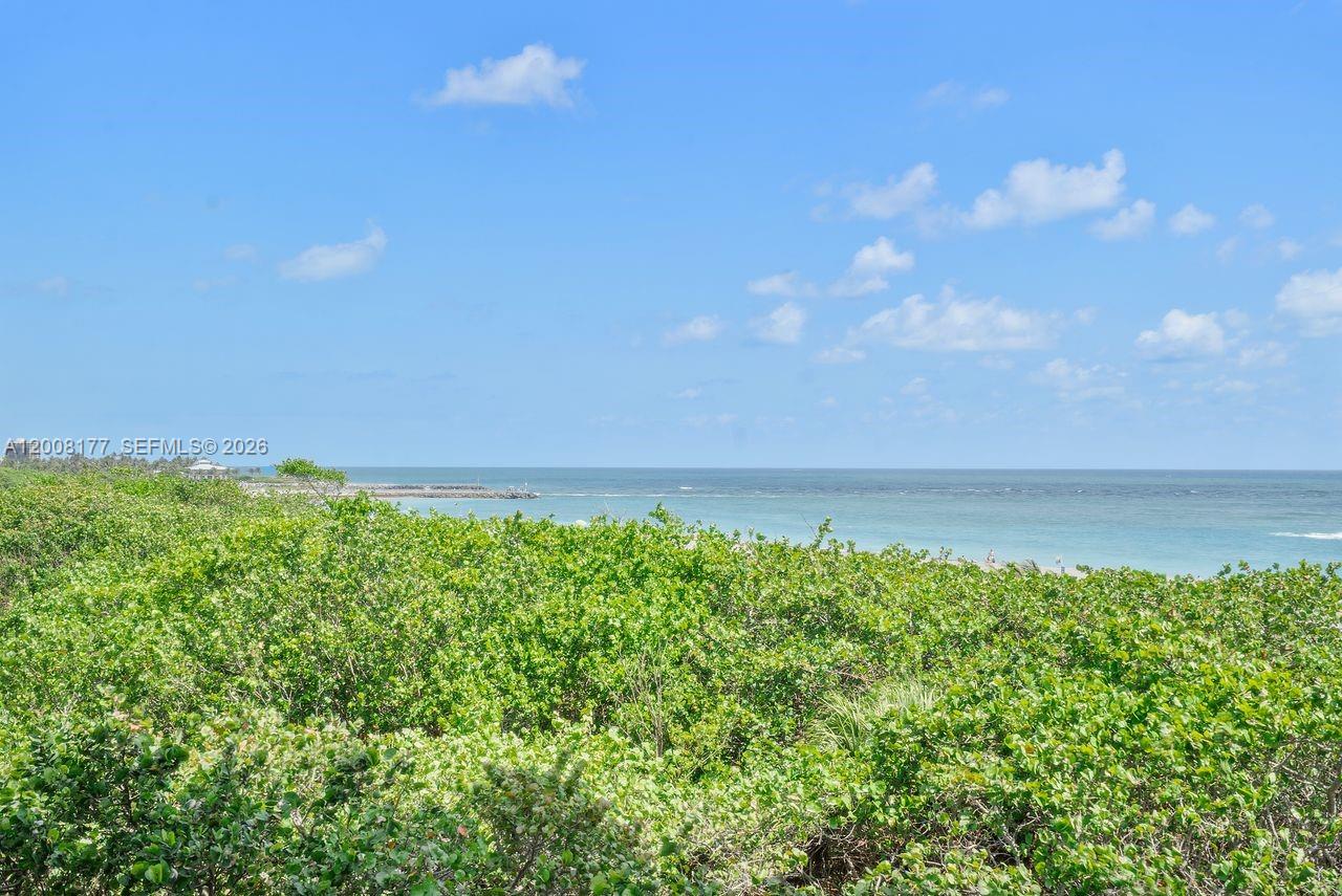 400 Ocean Trail Way, Unit 302 Jupiter, FL 33477 - Photo 26 of 29 a view of yard with lake view