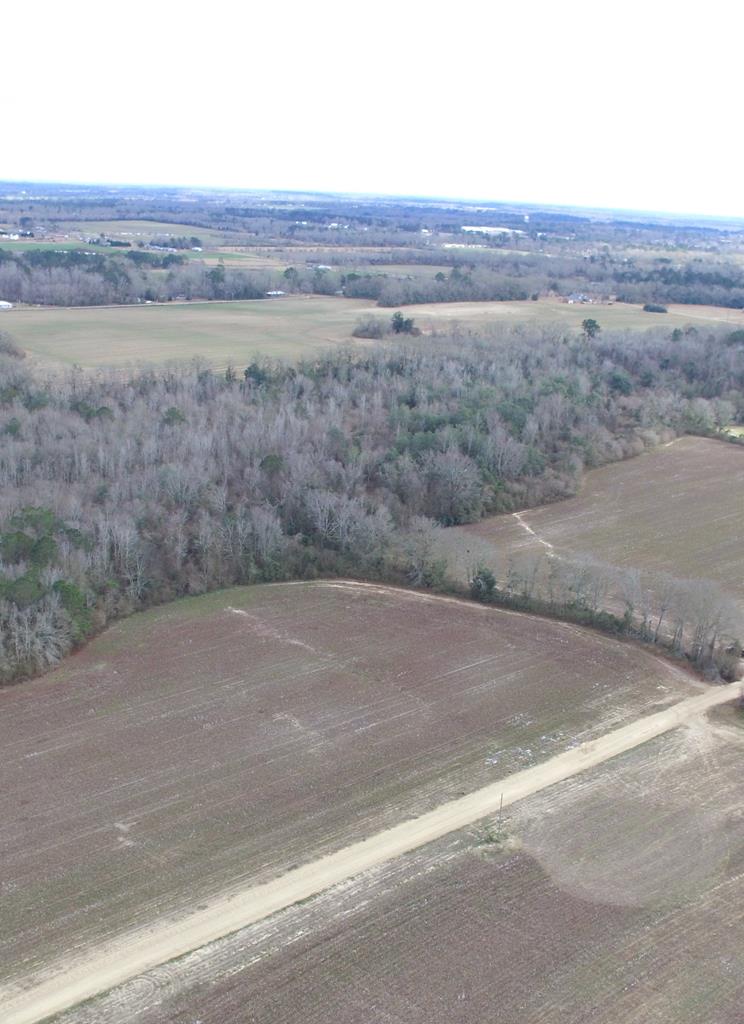 Lot 6 J B Jackson Road Ashford, AL 36312 - Photo 1 of 1