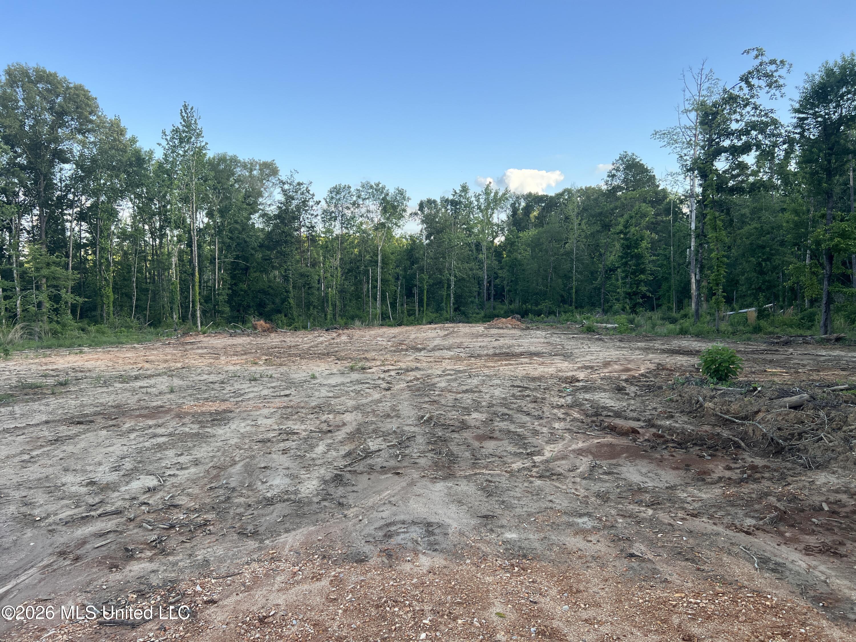 5734 Hebron Road Liberty, MS 39645 - Photo 5 of 32 5.