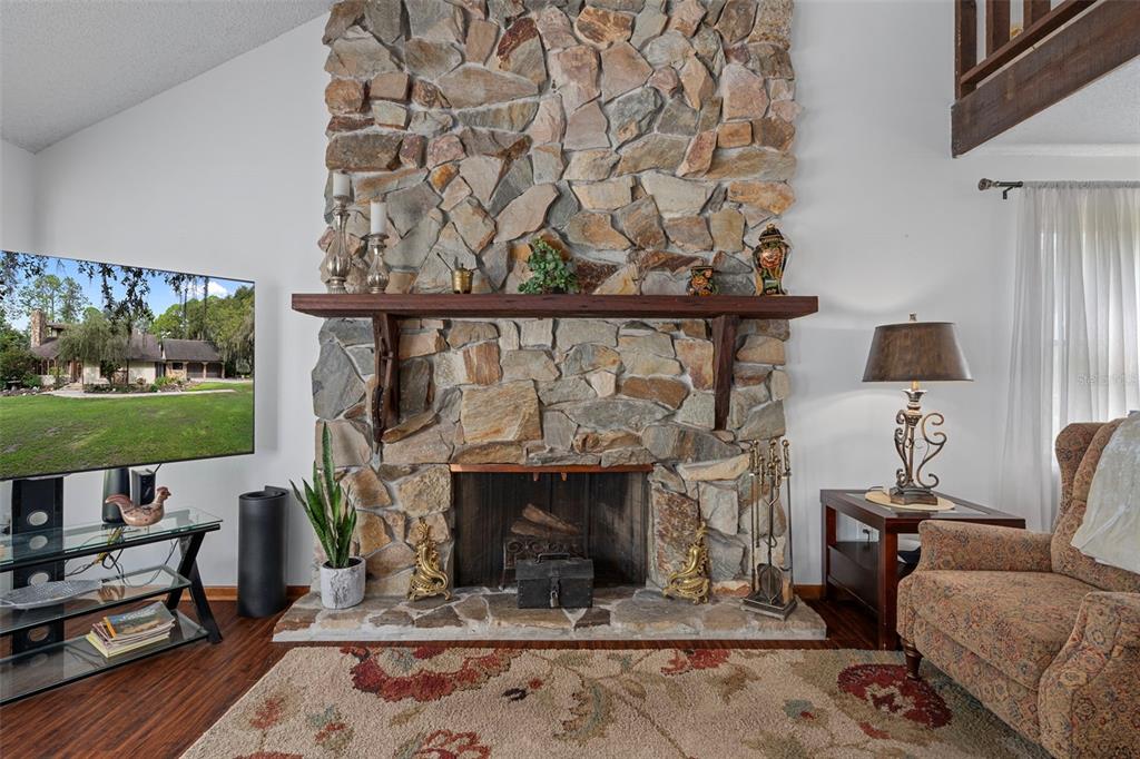 8605 Fussell Drive Wesley Chapel, FL 33545 - Photo 21 of 99 a living room with furniture a fireplace and a flat screen tv