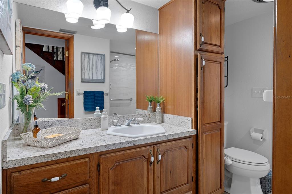 8605 Fussell Drive Wesley Chapel, FL 33545 - Photo 37 of 99 a bathroom with a granite countertop sink a toilet and mirror
