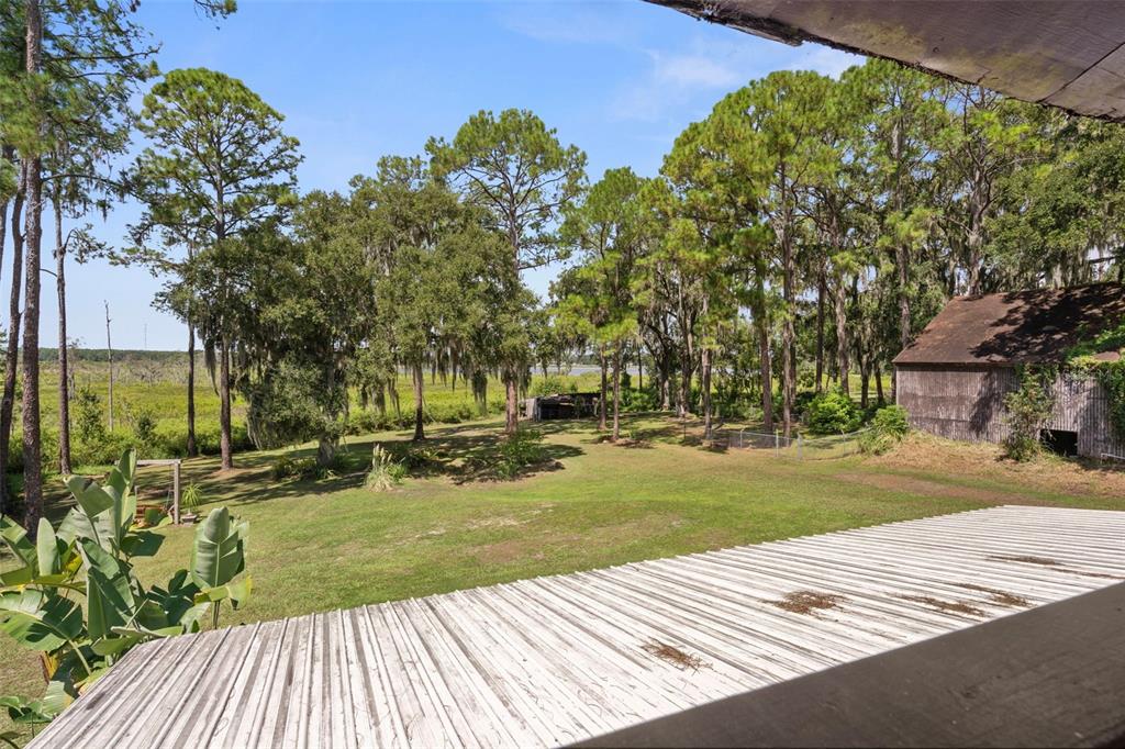 8605 Fussell Drive Wesley Chapel, FL 33545 - Photo 48 of 99