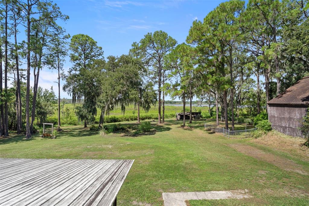 8605 Fussell Drive Wesley Chapel, FL 33545 - Photo 64 of 99 a view of a park with large trees