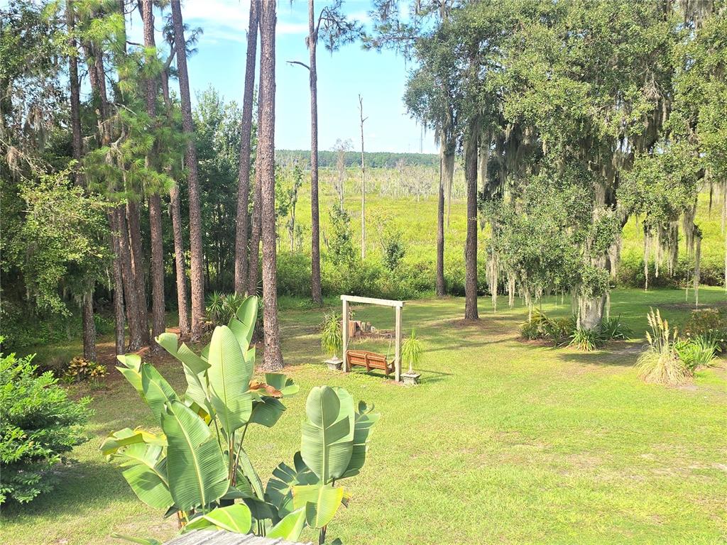 8605 Fussell Drive Wesley Chapel, FL 33545 - Photo 65 of 99 a view of a swimming pool with a patio and a lake view