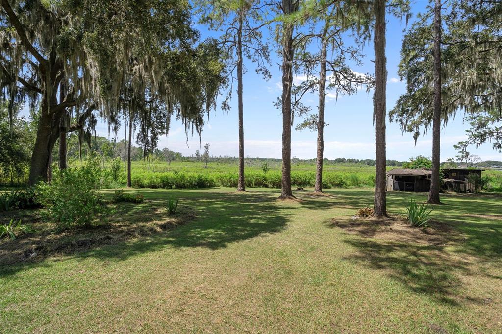 8605 Fussell Drive Wesley Chapel, FL 33545 - Photo 77 of 99