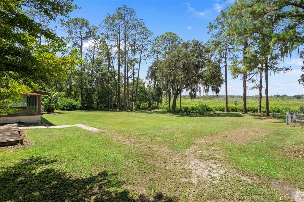 8605 Fussell Drive Wesley Chapel, FL 33545 - Photo 78 of 99 a view of a park with large trees