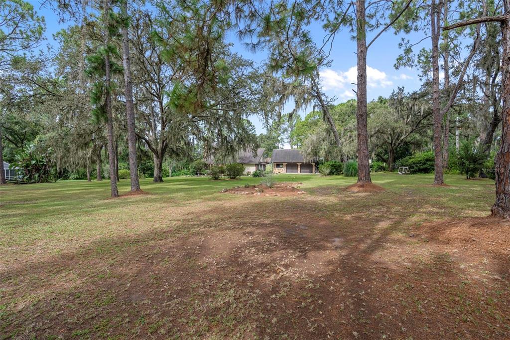 8605 Fussell Drive Wesley Chapel, FL 33545 - Photo 93 of 99