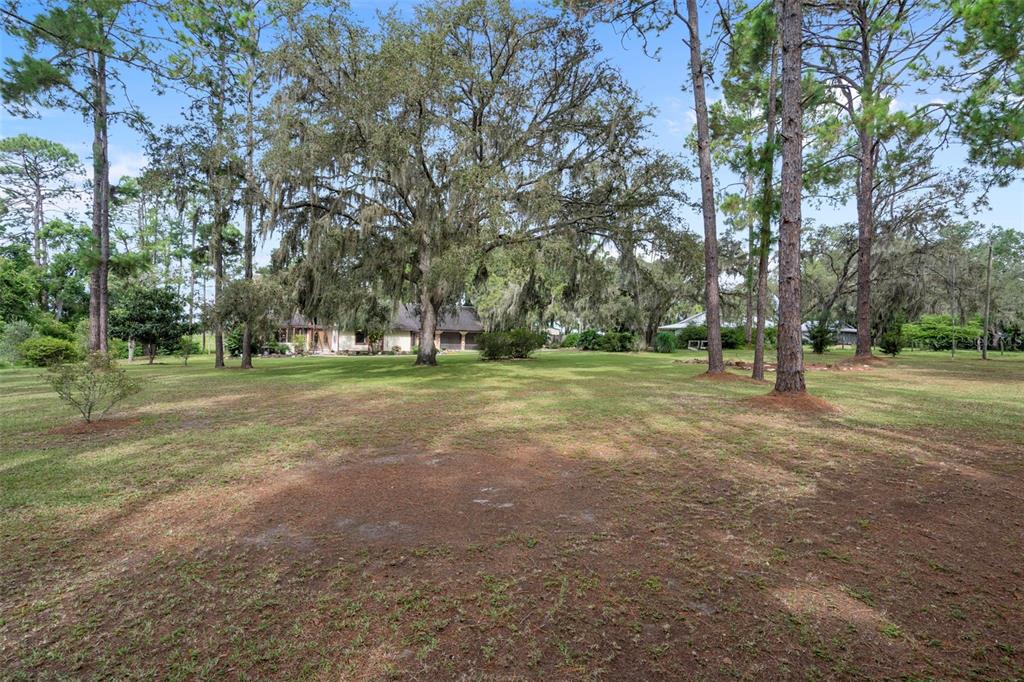 8605 Fussell Drive Wesley Chapel, FL 33545 - Photo 94 of 99 a view of a trees in a park