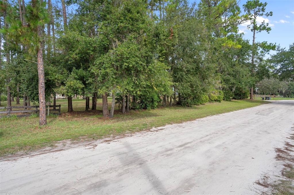 8605 Fussell Drive Wesley Chapel, FL 33545 - Photo 95 of 99 a view of a park with large trees