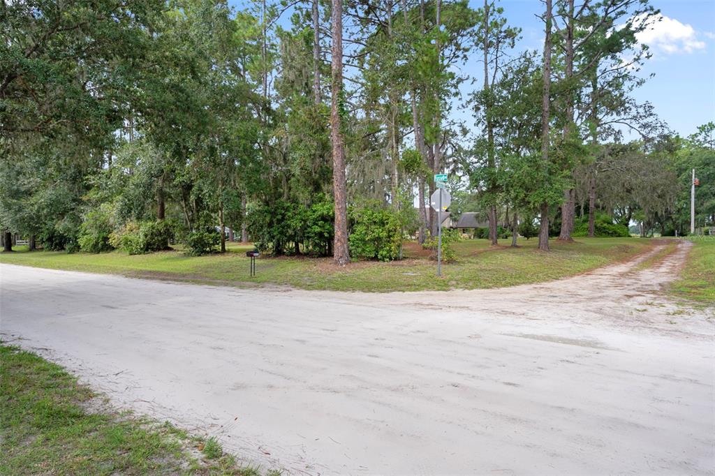 8605 Fussell Drive Wesley Chapel, FL 33545 - Photo 96 of 99 a view of a basketball court