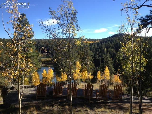 237 Wahsatch Road Florissant, CO 80816 - Photo 3 of 3 Gallery Image 3
