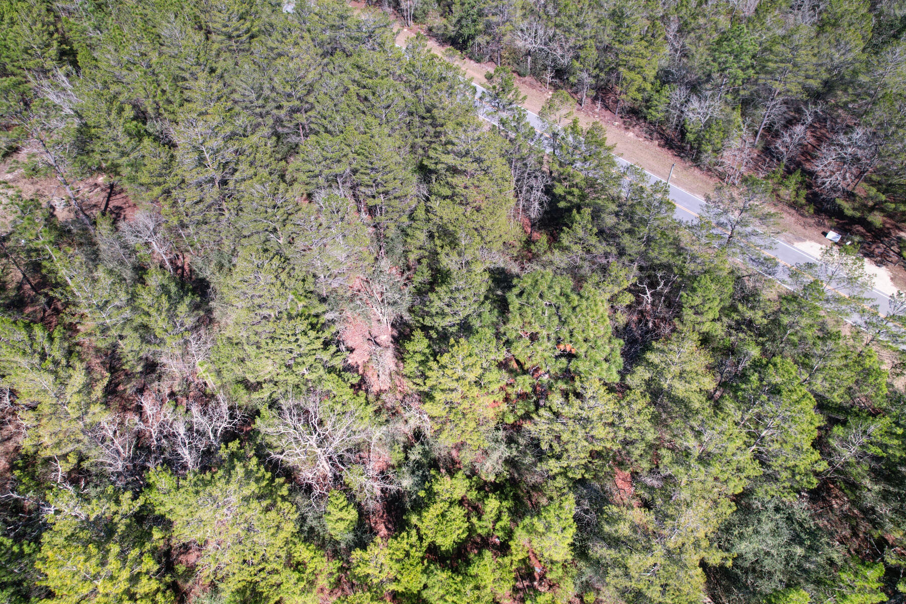 Xxx Delaware Road DeFuniak Springs, FL 32433 - Photo 22 of 26 a aerial view of a houses with a yard