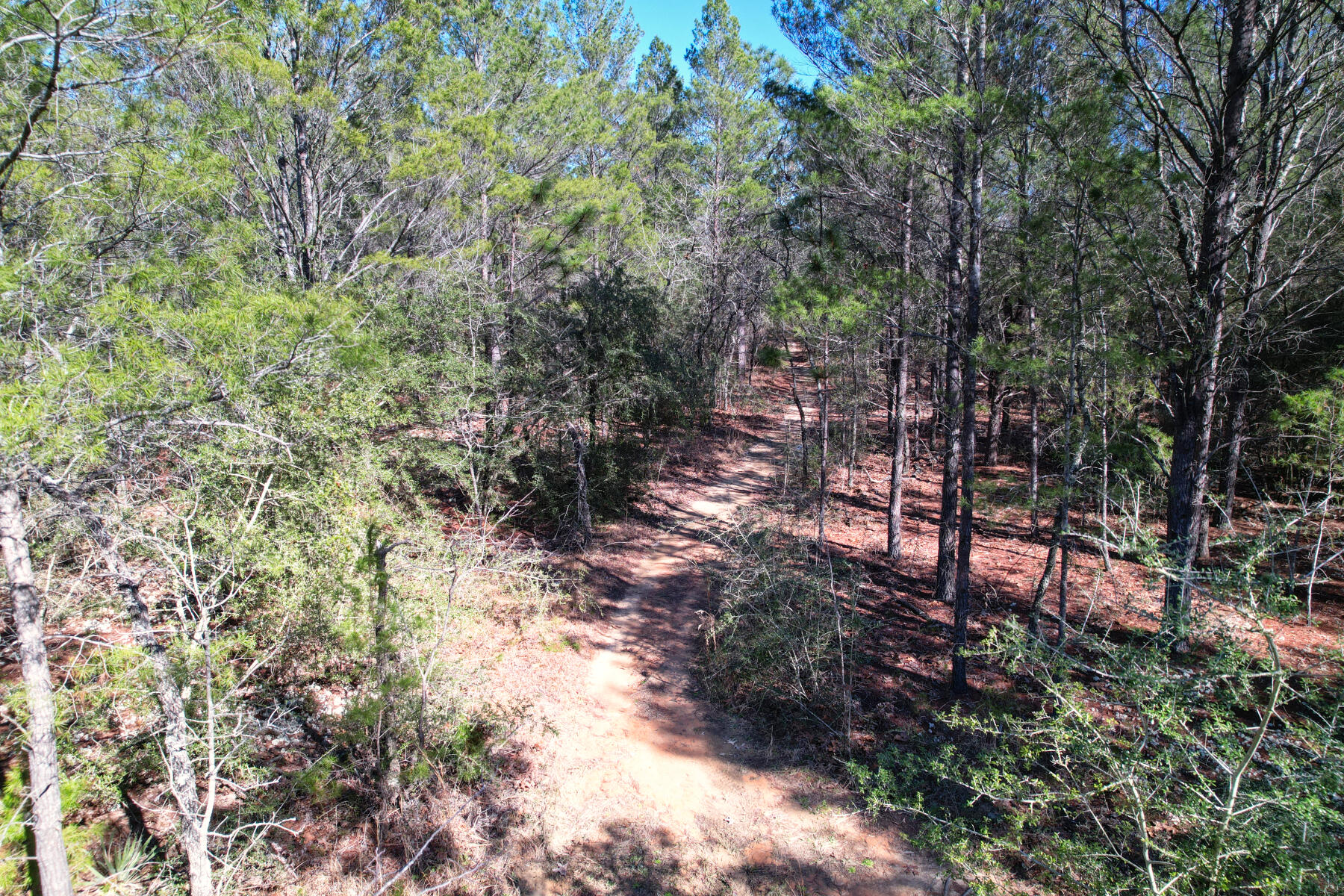Xxx Delaware Road DeFuniak Springs, FL 32433 - Photo 9 of 26 a backyard of a house with lots of green space