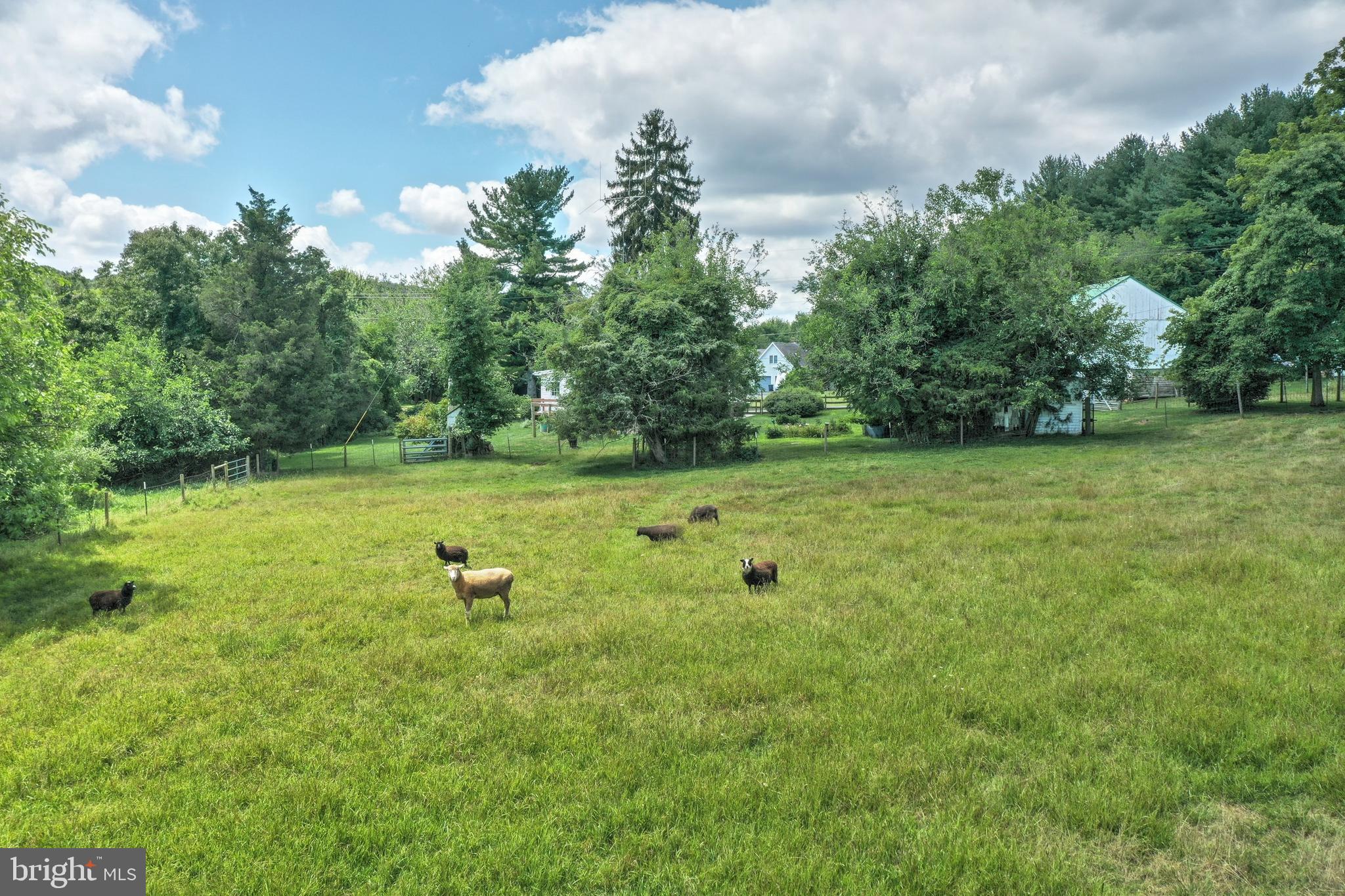 8442 Orchard Road Spring Grove, PA 17362 - Photo 48 of 53