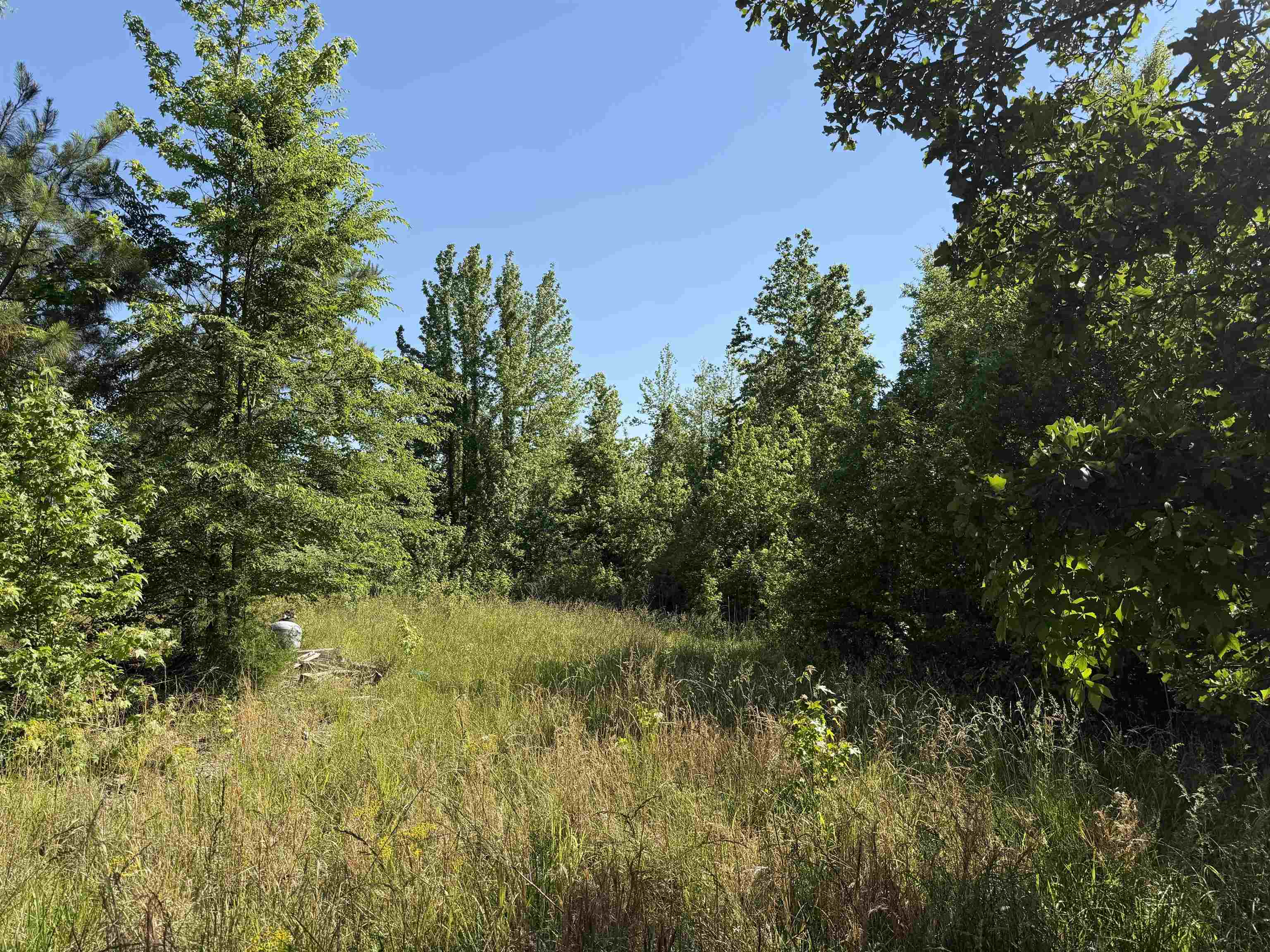 3180 Old Union Road Adamsville, TN 38310 - Photo 4 of 20