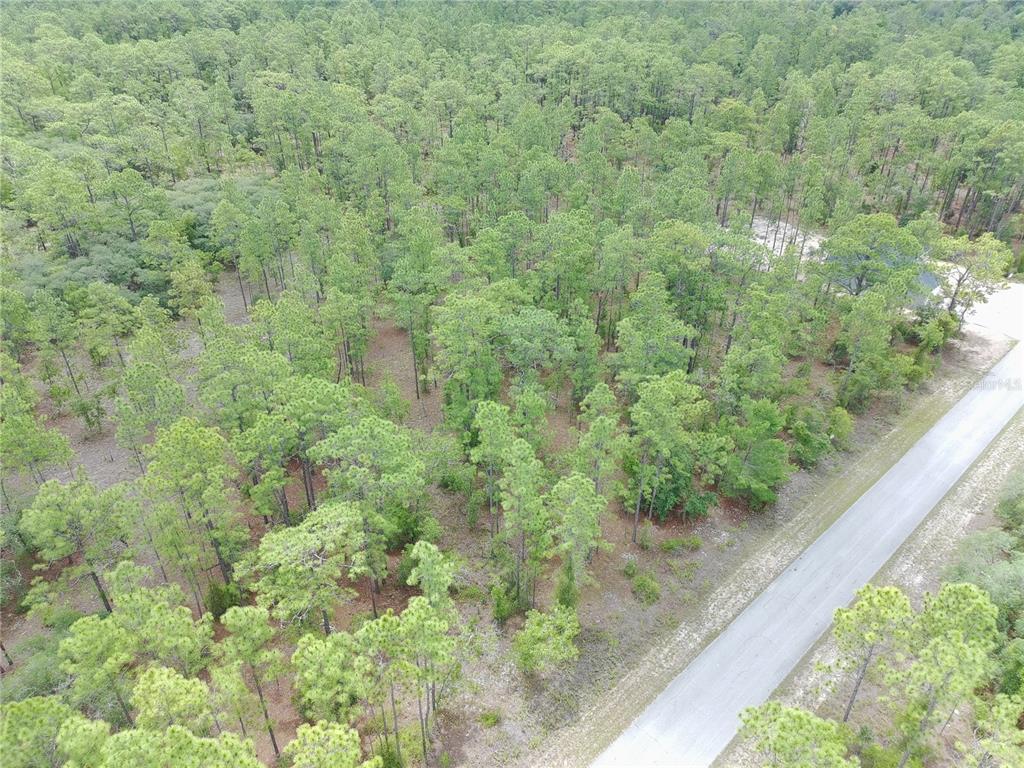 Southwest Buena Vista Road Dunnellon, FL 34431 - Photo 2 of 8