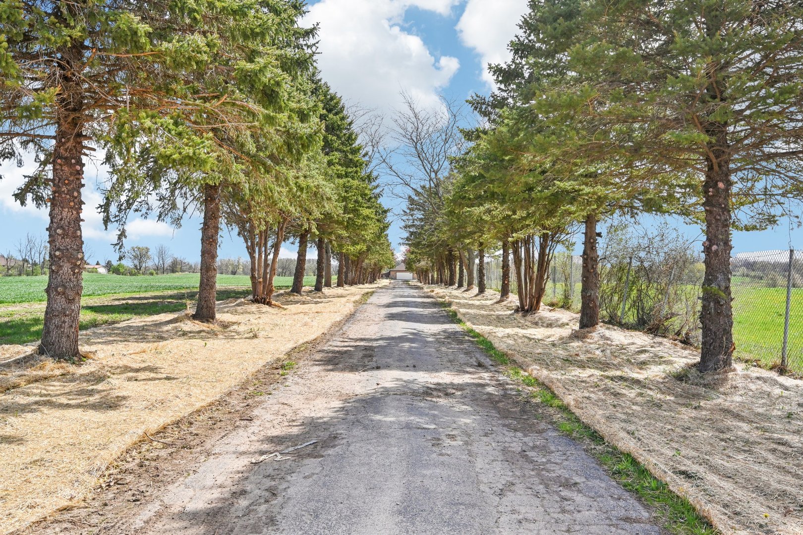1406 Busse Road Marengo, IL 60152 - Photo 48 of 76 a view of road with large trees