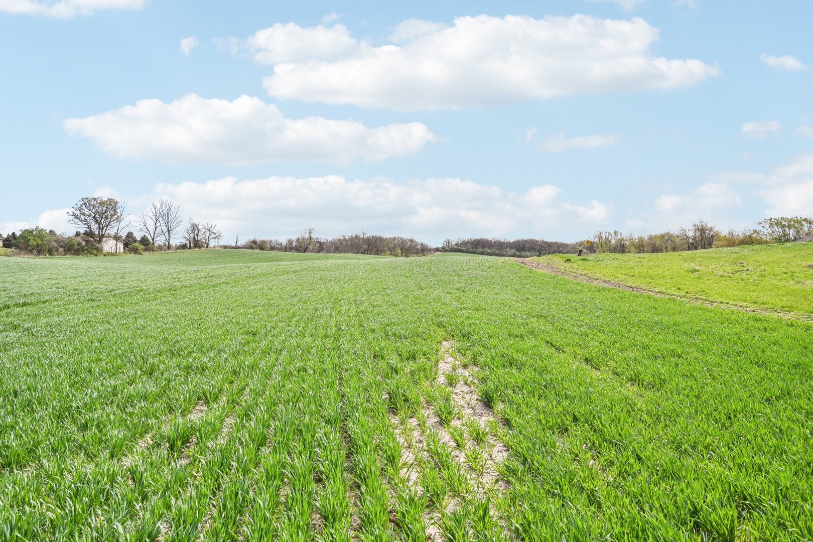 1406 Busse Road Marengo, IL 60152 - Photo 66 of 76 a view of a big yard with lots of green space