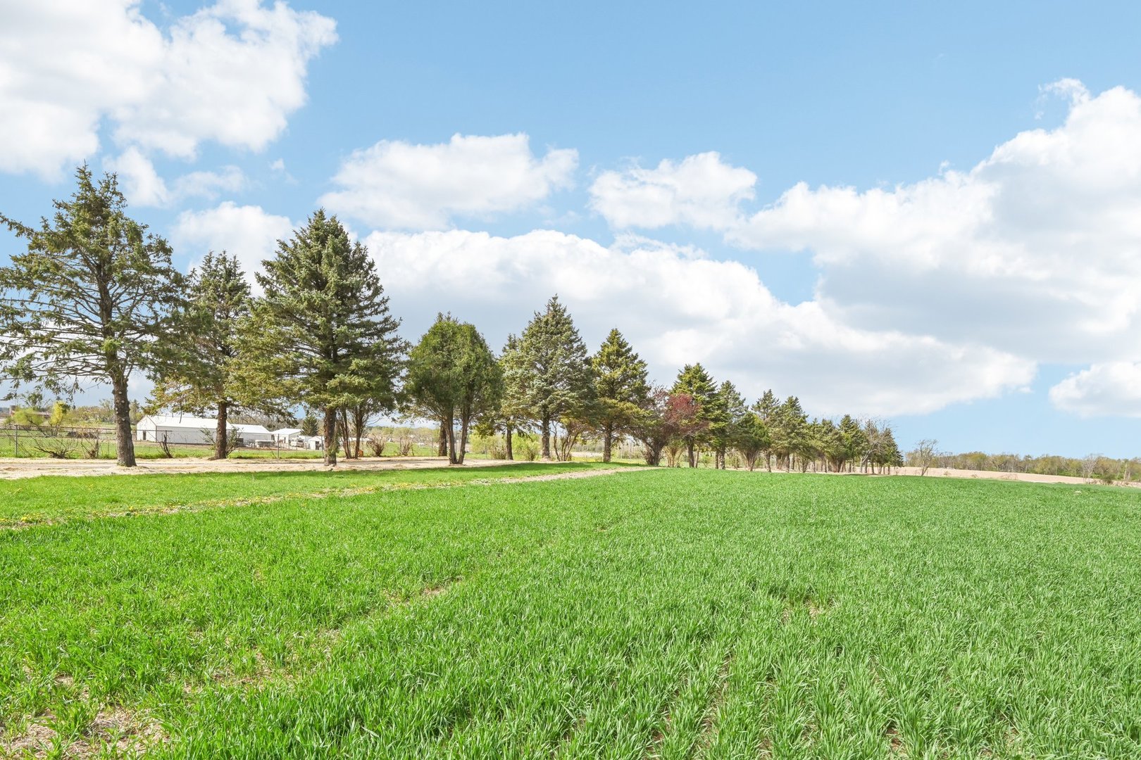 1406 Busse Road Marengo, IL 60152 - Photo 67 of 76 a view of a big yard with a large trees