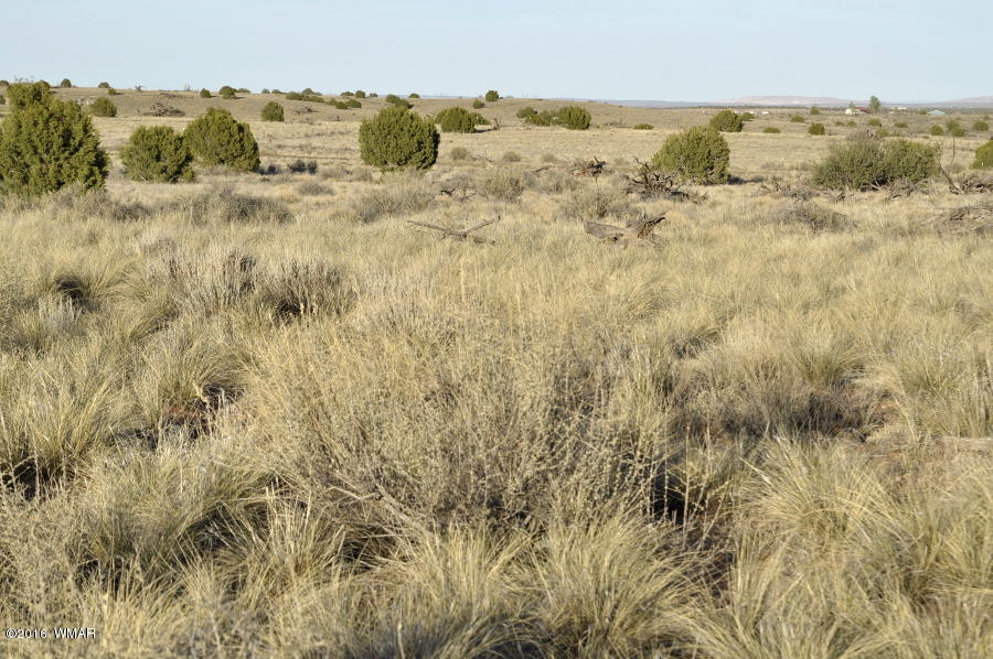 18-g White Antelope Road Snowflake, AZ 85937 - Photo 2 of 8