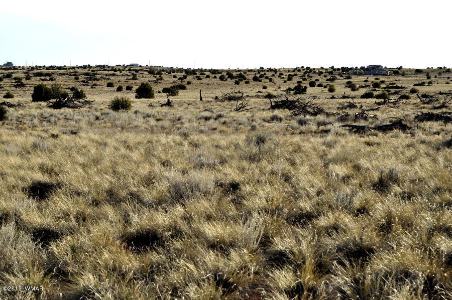 18-g White Antelope Road Snowflake, AZ 85937 - Photo 4 of 8